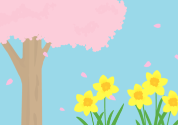 春の風景（サクラの木とスイセン）
