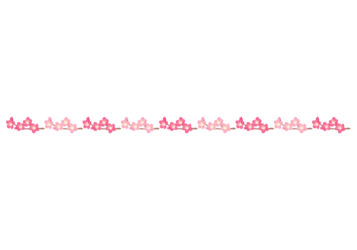 ウメ（梅）の花の飾り罫線