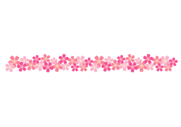 サクラ（桜）の飾り罫線