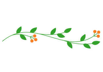 実と葉の飾り罫線
