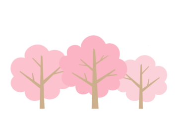 サクラ（桜）の木