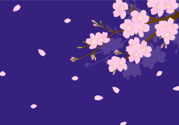 お花見（夜桜）