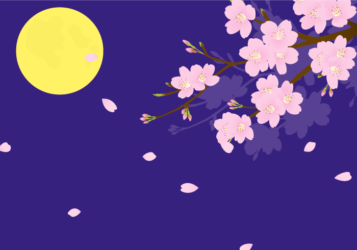 お花見（満月の夜桜）