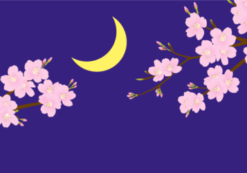 お花見（三日月の夜桜）