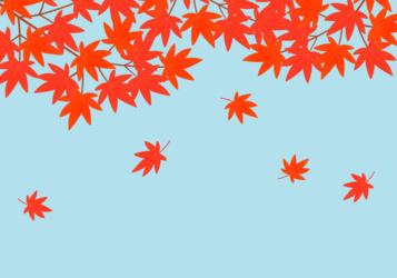 秋の風景（紅葉のカエデ）