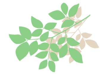植物シルエット（樹木の枝）