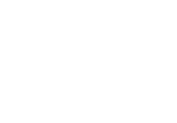円形のレース模様（白色）
