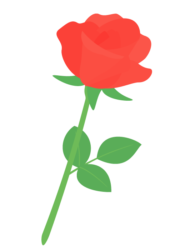 赤いバラ（薔薇）