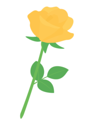 オレンジ色のバラ（薔薇）