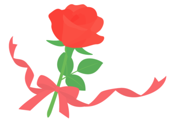 赤いバラ（薔薇）とリボン
