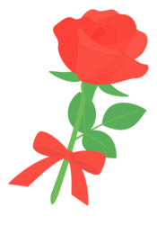 赤いバラ（薔薇）とリボン