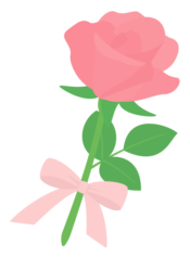 ピンクのバラ（薔薇）とリボン
