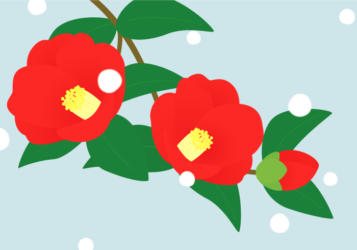 赤色のツバキ（椿）と雪の風景