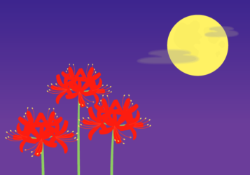 ヒガンバナ（彼岸花）の風景（満月の夜）