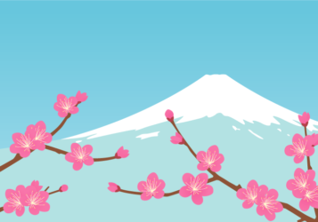 ウメ（梅）の風景（紅梅と富士山）