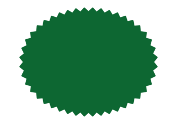 ギザギザ枠（深緑色の楕円形）