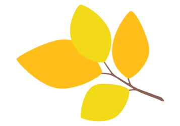 黄葉の枝