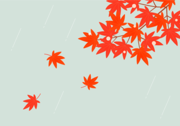 カエデ（楓）の風景（秋の紅葉と雨）
