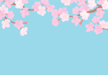 サクラ（桜）の風景