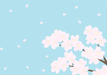 サクラ（桜）の風景
