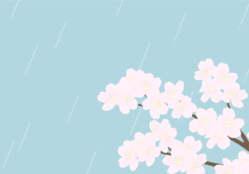 サクラ（桜）の風景（桜雨）