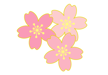 【原画】和風イラスト 桜と和傘 額縁付き モダン和風アート 和傘とさくらのイラスト素材 [63310052] - PIXTA