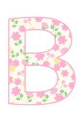 アルファベット「B」