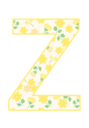 アルファベット「Z」