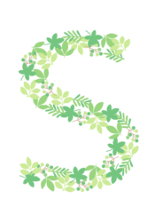 アルファベット「S」