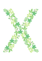 アルファベット「X」