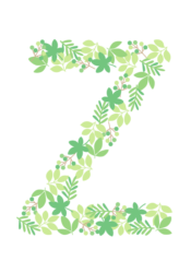 アルファベット「Z」