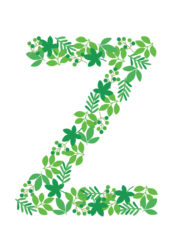 アルファベット「Z」