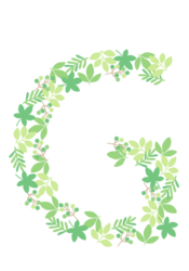 アルファベット「G」