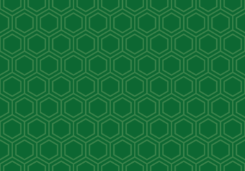 深緑色の亀甲文様
