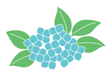 アジサイ（紫陽花）