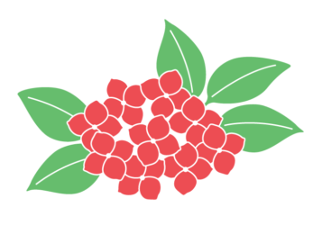 アジサイ（紫陽花）
