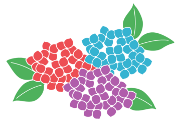 アジサイ（紫陽花）