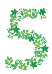 飾り数字「5」