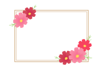 秋の花の長方形フレーム（コスモス）
