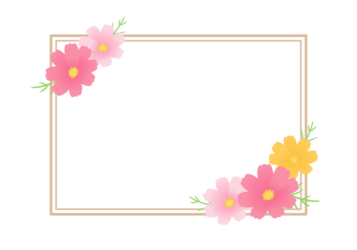 秋の花の長方形フレーム（コスモス）