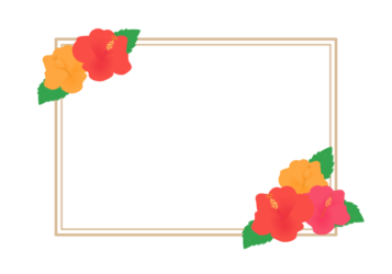 夏の花の長方形フレーム（ハイビスカス）