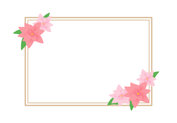 冬の花の長方形フレーム（ポインセチア）