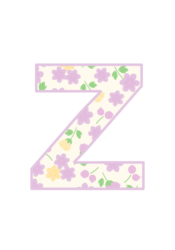 アルファベット「z」