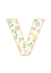 アルファベット「v」