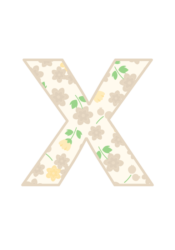 アルファベット「x」