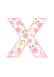 アルファベット「x」