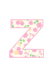 アルファベット「z」