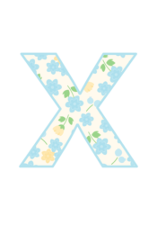 アルファベット「x」