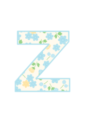 アルファベット「z」