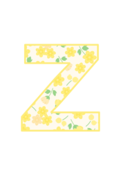アルファベット「z」